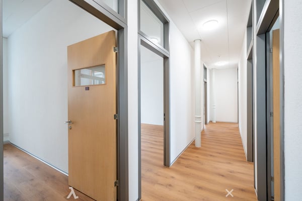 Renovierte Gewerbe- und Bürofläche ab sofort verfügbar 3