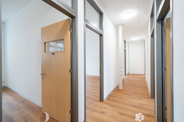 Renovierte Gewerbe- und Bürofläche ab sofort verfügbar 3