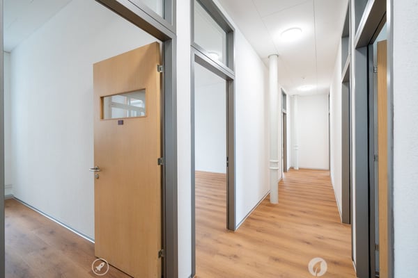 Renovierte Gewerbe- und Bürofläche ab sofort verfügbar 3