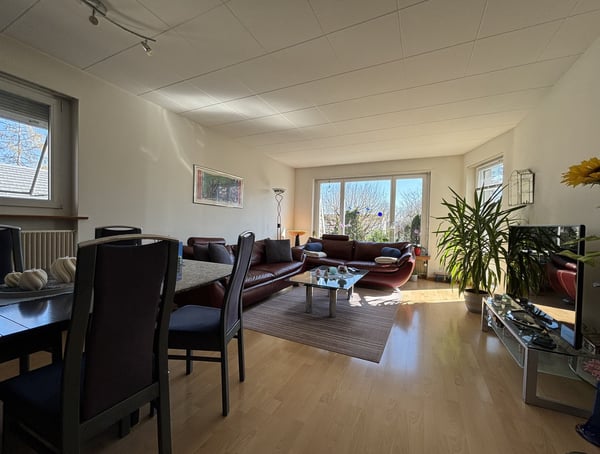Einfamilienhaus mit Einliegerwohnung und grossem Garten 12