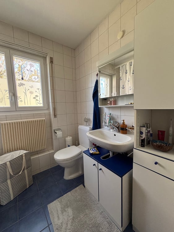 Einfamilienhaus mit Einliegerwohnung und grossem Garten 15