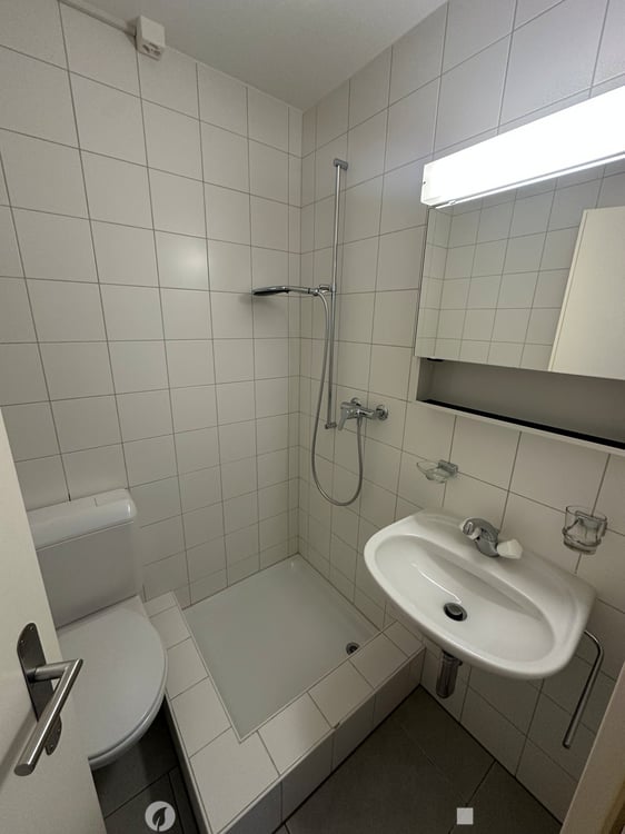 Helle 4.5-Zimmer-Wohnung mit Balkon in Biel 7
