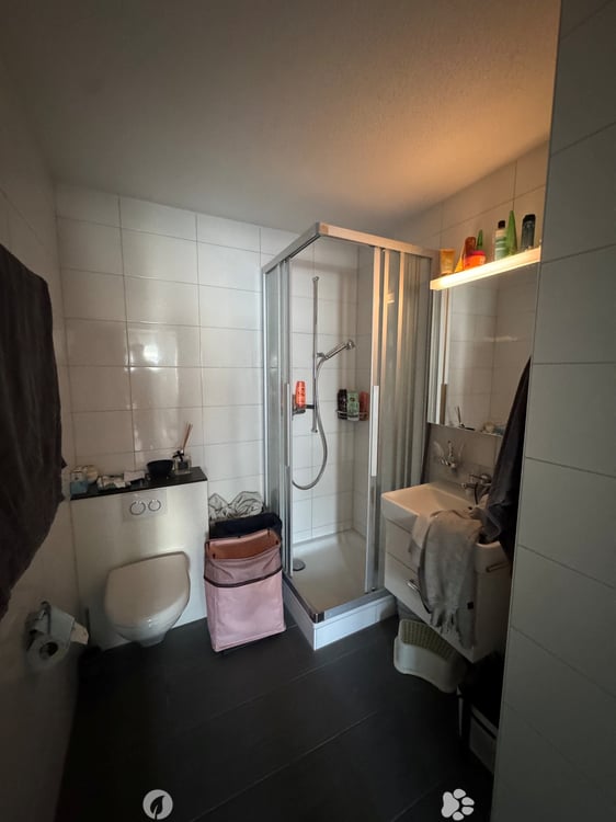 6-Zimmer-Duplexwohnung 6