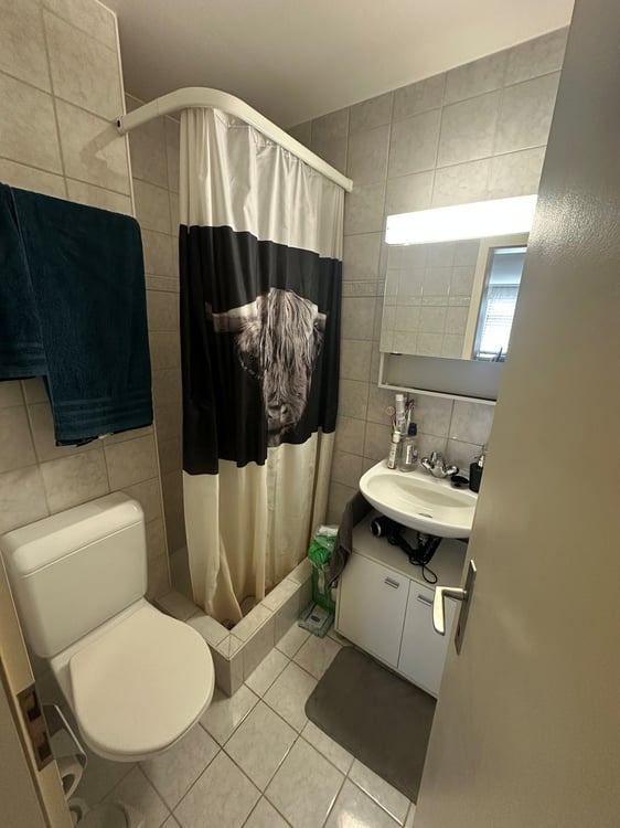 Charmantes 1-Zimmer-Apartment mit Terrasse in Biel 2