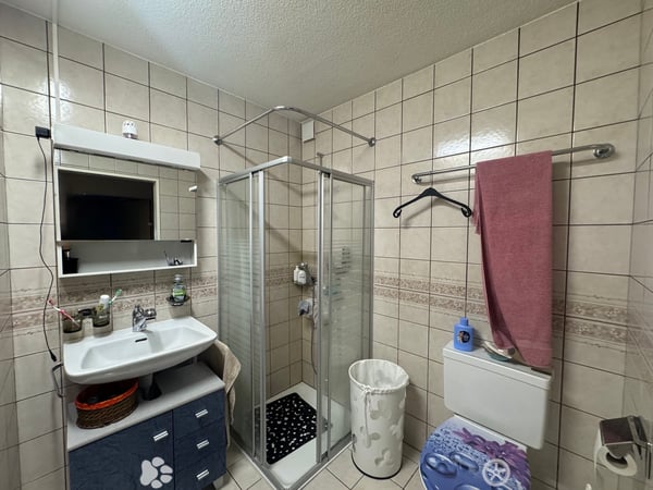 Helle 2.5-Zimmer-Wohnung mit Balkon im Zentrum von Biel 4