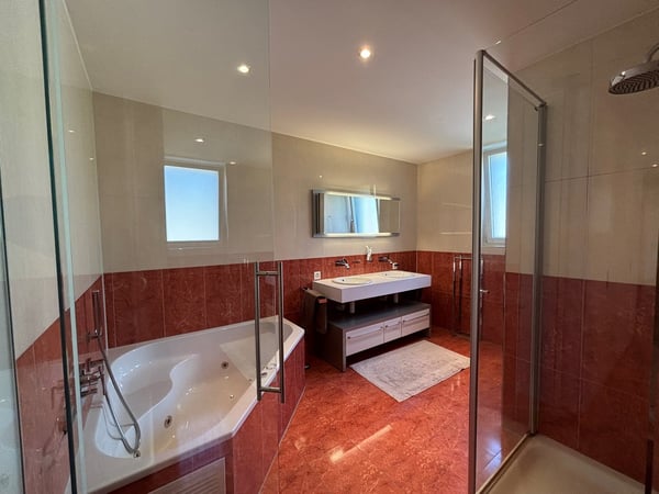 5.5-Zimmer-Attikawohnung mit Alpensicht 12