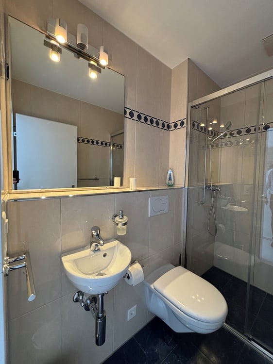 5.5-Zimmer-Attikawohnung mit Alpensicht 13