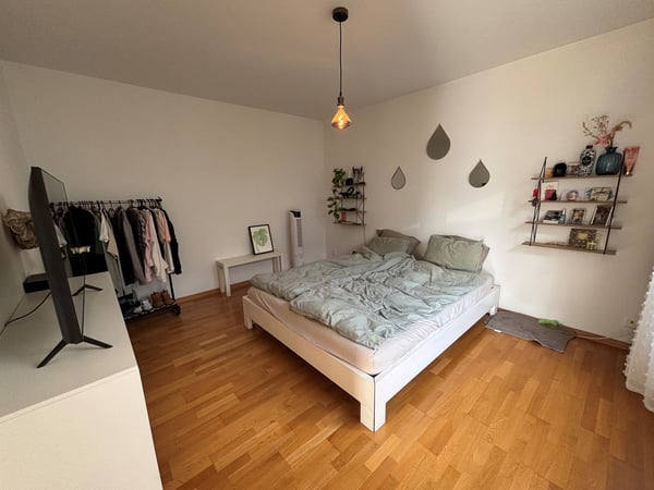 Attikawohnung im 11. Stock in Nidau 9