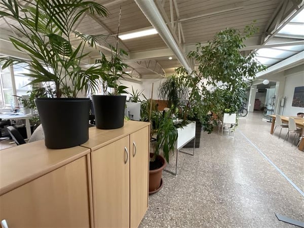 132 m² Bürofläche an der General-Dufour-Strasse in Biel – verfügbar ab Dezember 2026 2