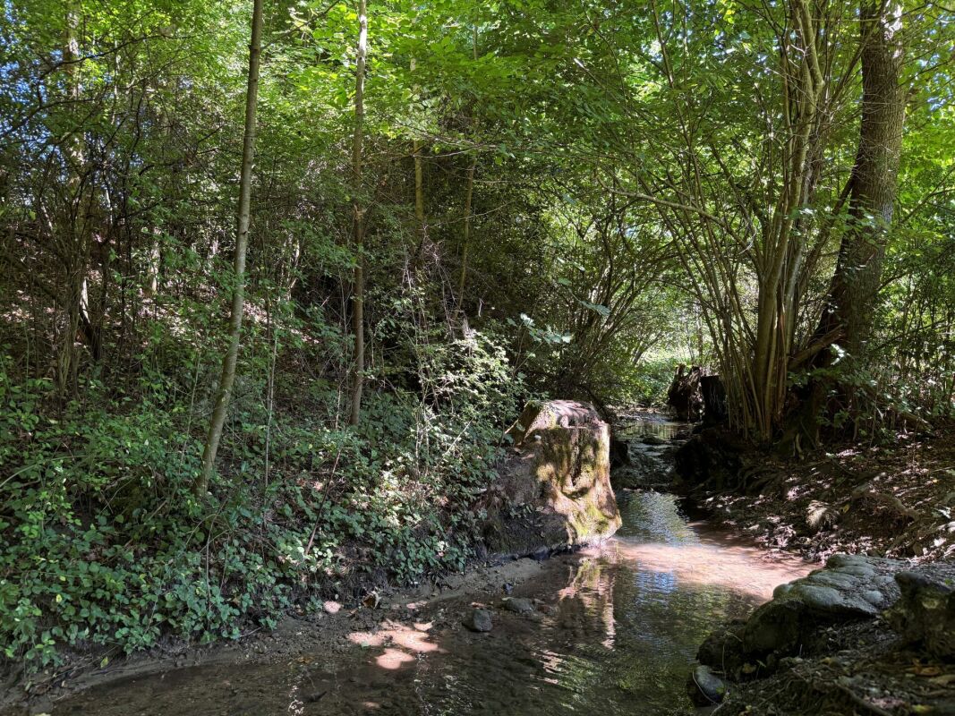 Naturnahes Wohnen mit hohem Wohnkomfort