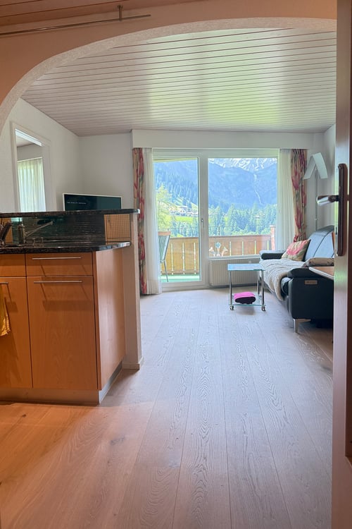 Charmante 1.5-Zimmer-Wohnung in ruhiger Lage von Adelboden 3