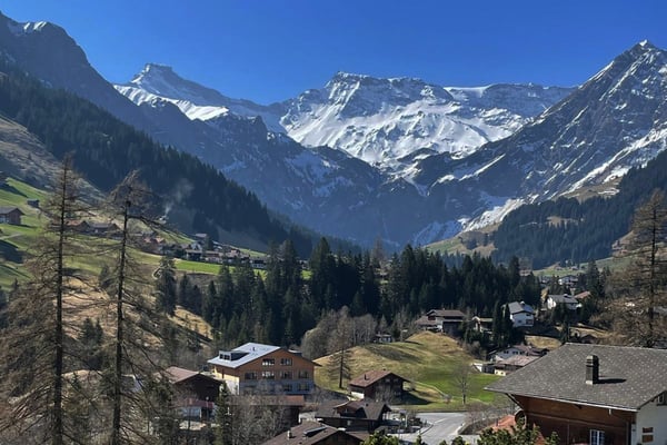 Charmante 1.5-Zimmer-Wohnung in ruhiger Lage von Adelboden 1