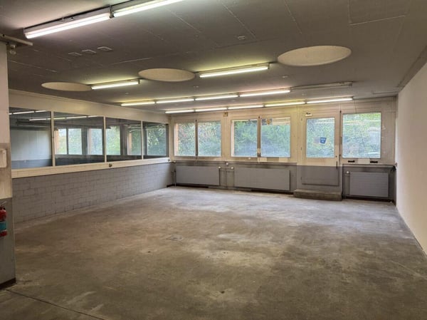 Atelier / Büro ab 180 m2 im Erdgeschoss 5