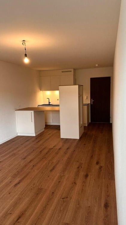 Studio im Tiefparterre 3