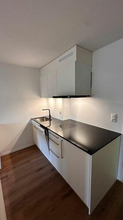 Studio im Tiefparterre 4