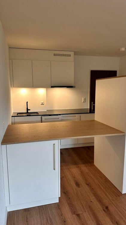 Studio im Tiefparterre 1