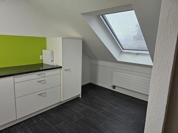 Moderne sanierte Wohnung in Ins 4