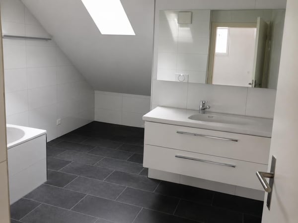Charmante 2.5 Zimmerdachwohnung am Egelsee 5