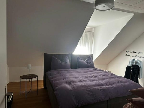 Wunderschöne Dachwohnung nähe Egelsee 4