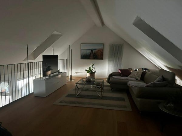 Wunderschöne Dachwohnung nähe Egelsee 3