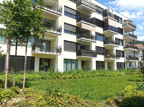 Helle 2.5 Zimmerwohnung in Burgdorf zu vermieten 1