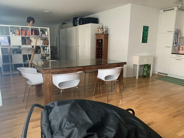 Grosszügige moderne Loftwohnung 3