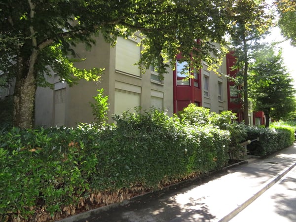 Charmante 1.5-Zimmerwohnung mit Cheminee im Marziliquartier 13