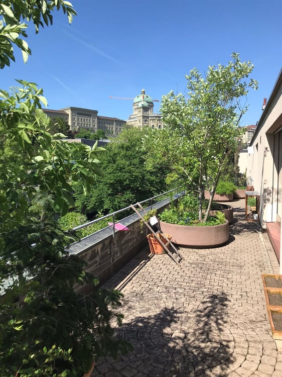 Hochhinaus - Aussicht übers Marziliquartier 10