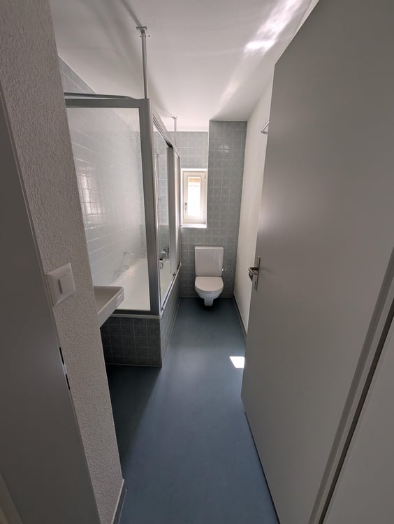 Grosszügige und frisch sanierte Wohnung zu vermieten 27