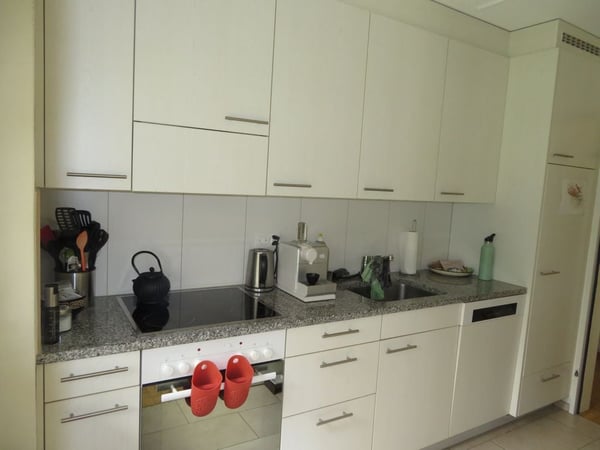 Helle 2-Zimmerwohnung mit Gartensitzplatz im Weissenbühl 2