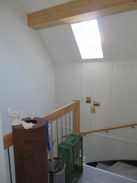 2.5-Zimmer-Dachwohnung zu vermieten 5