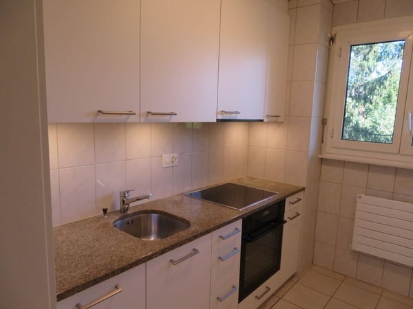 Bern - Sulgenauweg / ruhig gelegene Stadt-Wohnung 4