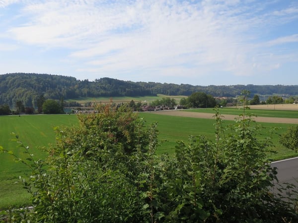 1.5-Zimmerwohnung, 1. OG links 11