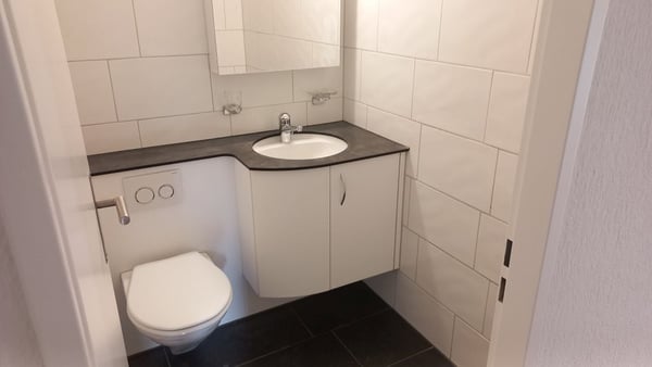 renovierte 1 1/2-Zimmerwohnung im 3. Stock 4