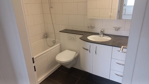 renovierte 1 1/2-Zimmerwohnung im 3. Stock 3