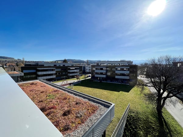 Münsingen