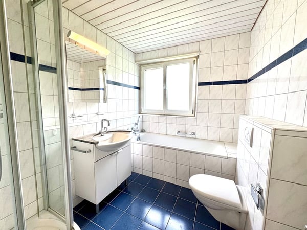 3 1/2-Zimmerwohnung, Parterre links 8