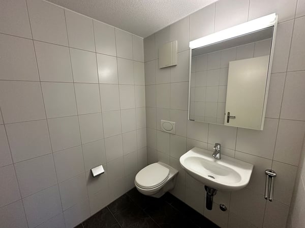 4 1/2-Zimmerwohnung, 1. Stock rechts 8
