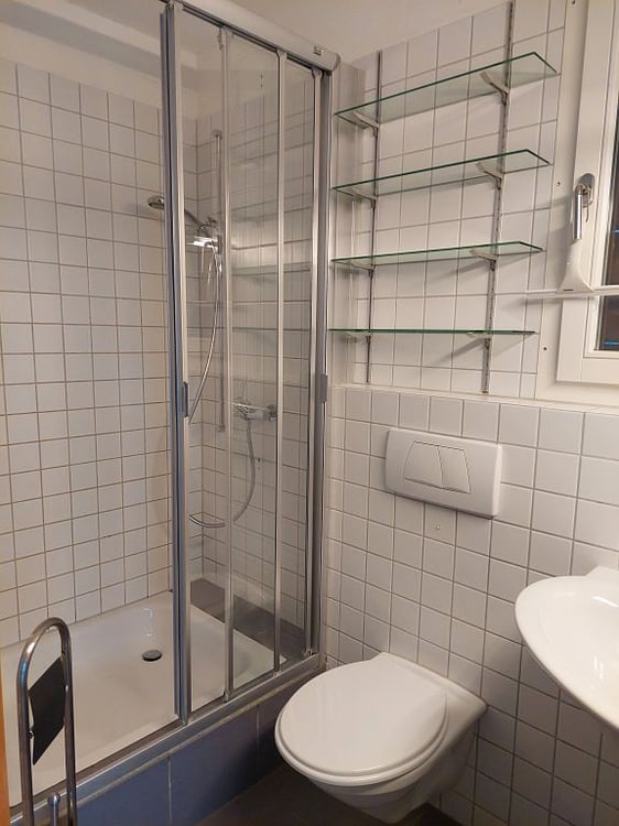 einmaliges 3 1/2-Zimmer-Tinyhouse 6