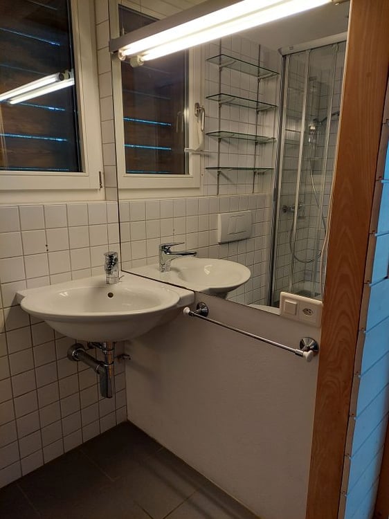 einmaliges 3 1/2-Zimmer-Tinyhouse 5