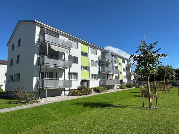 4 1/2-Zimmerwohnung, Parterre links 1