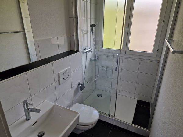 4 1/2-Zimmerwohnung, 3. Stock links 8