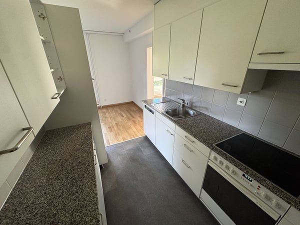 4 1/2-Zimmerwohnung, Parterre links 4