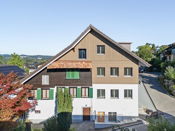 Ein Neubau-Einfamilienhaus, das Geschichte und Zukunft vereint 4