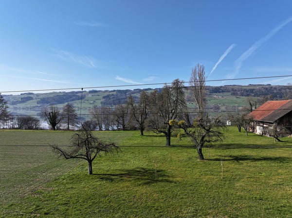 «Turmfalke» in Gelfingen: Wohn- und Lebensgenuss am Baldeggersee. 2