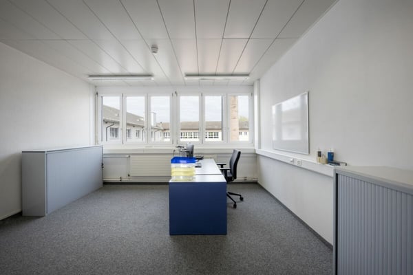 Helle Räume in einem Areal mit guter Infrastruktur in Aarau 4