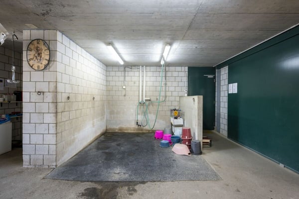 Reitanlage Mellingen 13