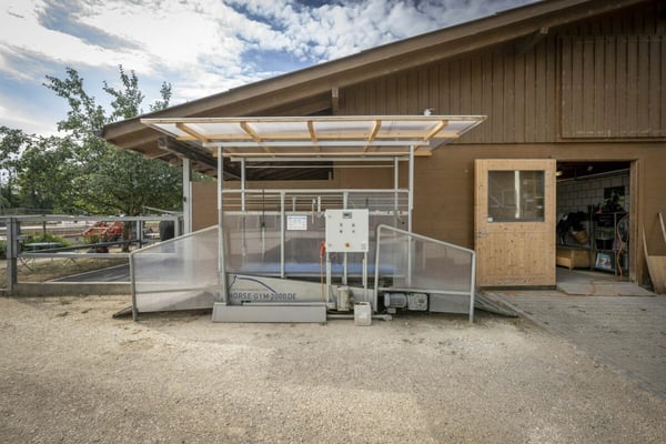 Reitanlage Mellingen 6