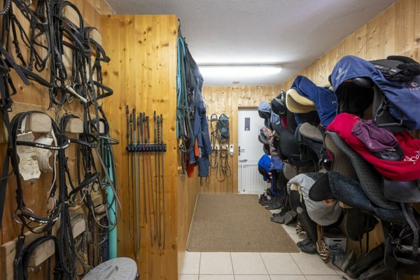 Reitanlage Mellingen 15