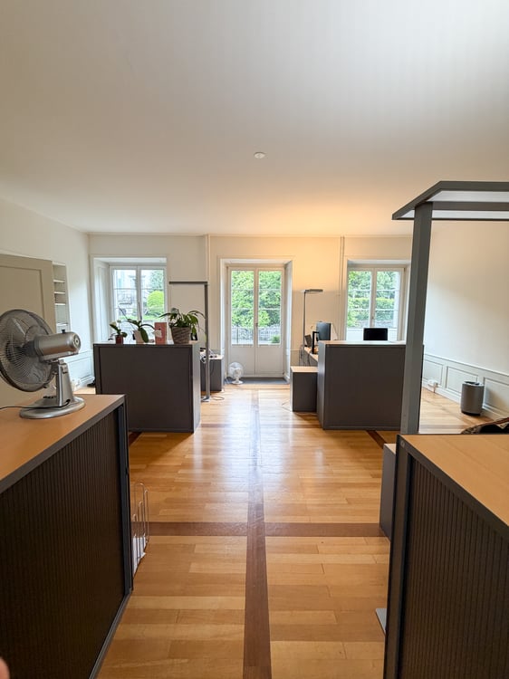 Repräsentative Gewerbefläche in der historischen Villa Hünerwadel 5